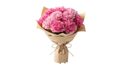 Bouquet Of Pink Carnations Wrapped In Brown Paper With A Bow flowers floral
