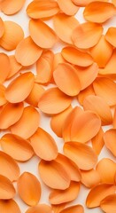 Vibrant Red Lentils - A Close-Up of Nutritional Goodness.