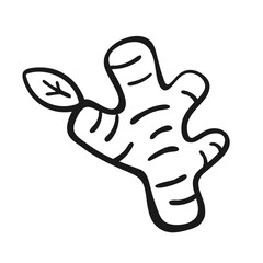 Hand-Drawn Ginger Root Doodle