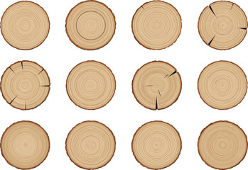 Realistic Wood Log Slices Vector Set: Tree Ring Textures, Cracks and Annual Growth