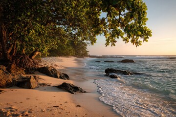 A sunlit sandy beach with gentle waves lapping the shore, framed by lush trees and rocks