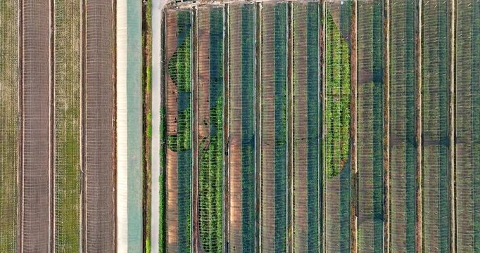 Aerial shot of agricultural greenhouses with pattern and texture in farm.