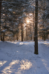 Frozen lake covered with snow and footprints under bright winter sun.