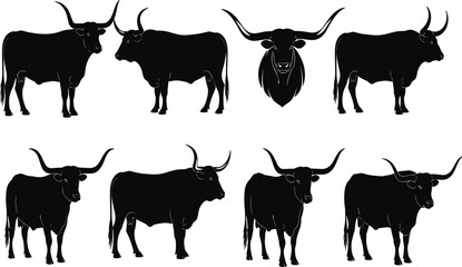 Set of Watusi Cattle Silhouettes: African Cow with Large Horns in Various Positions, Including Head-on View, for Farm and Livestock Designs