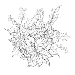 Fototapeta premium Floral Arrangement Featuring Poinsettias Holly and Berries in Simple Line Art Style Showcasing Natures Beauty and Holiday Themes