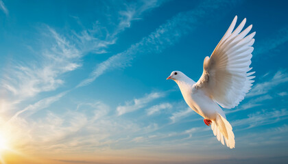 White dove soaring in bright blue sky at sunrise symbolizing peace hope freedom and spiritual new beginnings