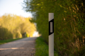 White Road Marker beside Sunlit Country Lane