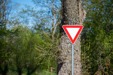 Yield Sign Beside Early Spring Trees