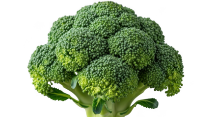 Fresh green broccoli florets close up healthy vegetable food photography transparent background black background