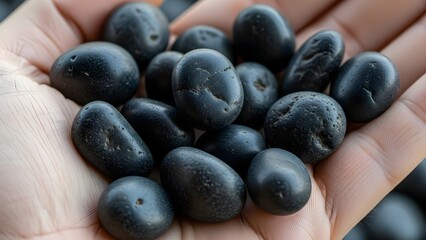 Close up of hand holding smooth black stones against blurred background
