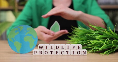 Discovering the importance of wildlife protection and our role in preserving nature for future generations
