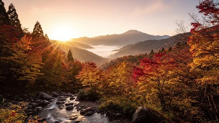 Autumn leaves fall on forest floor under soft dappled light with ??????? 1920?1080 (29s) effect travel destination style featuring