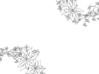 ポインセチアとサンキライの線画フレーム④黒