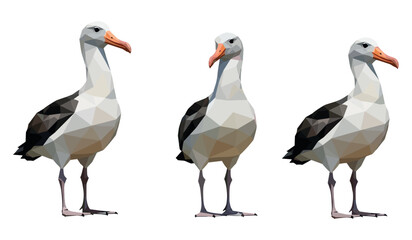 Fototapeta premium Low-poly albatross trio: geometric birds with distinctive beaks and plumage