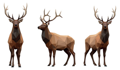 Low poly art: triad of stag deer with antlers in geometric style on white background