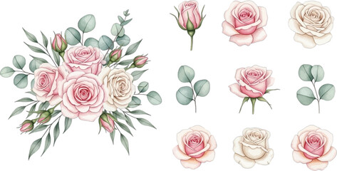 Watercolor collection of pink and cream rose flowers with green eucalyptus leaves bouquet and individual elements perfect for wedding invitations and greeting cards