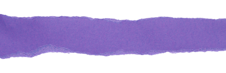 purple torn or ripped paper isolated on transparent png background,purple torn paper with edges, realistic torn paper edges,ripped paper frame mockup,torn paper background