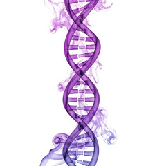 Purple D N A helix formed from smoke on black background