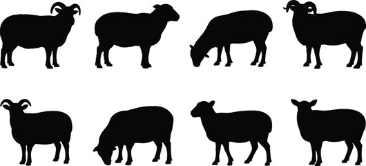 Sheep and ram silhouette vector illustration, grazing and standing poses, horned animal icons, cad drawing flat vector illustration, livestock design