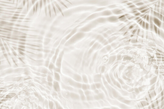Water Background.Summer Pool and Waves Splash with Abstract Pattern Texture in Cloud dancer colour tone 2026. Poolside with Palm leaves Shadow and Light effect on Water Circle Surface with Ripples	
