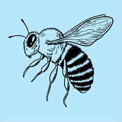 Buzzing Silhouette: A finely detailed outline illustration showcases a solitary bee mid-flight, its wings outstretched against a vibrant background. 