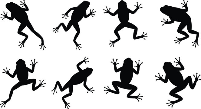 Frog silhouette vector, amphibian pose icon, jumping frog shape, black outline animal, cad drawing flat vector illustration