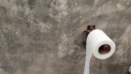 toilet paper roll