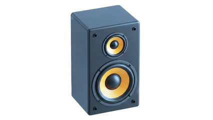 Black Speaker Isolated on White Background