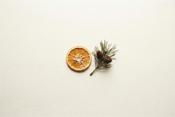 Dried orange slice and pine twig composition on cream background