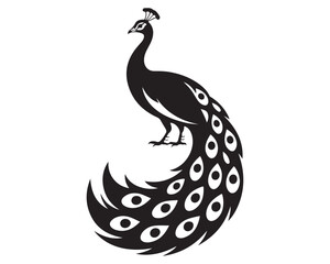 Fototapeta premium Peacock 8.eps