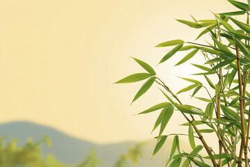 Fototapeta premium Bamboo leaves gently sway against soft sunset backdrop, creating serene and peaceful atmosphere