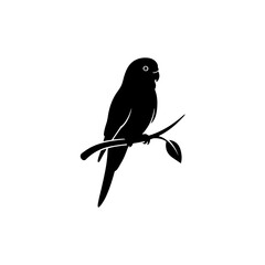 Budgie silhouette perched on minimal branch vector illustration