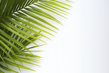 Simple palm leaf pattern with shades of green against white background evokes fresh and tropical feel