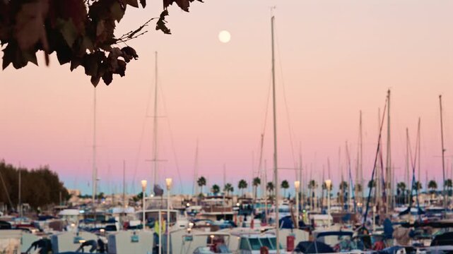 Wide shot of a busy marina filled with boats and masts at pastel sunset, with autumn leaves in the corner and a full moon rising above the horizon