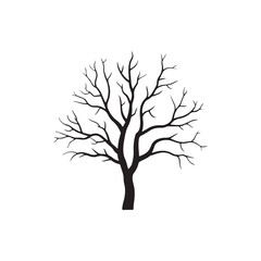 Obraz premium Bare Tree Silhouette: A stark silhouette of a solitary tree stands against the open space. The intricate network of branches reaches toward the sky.