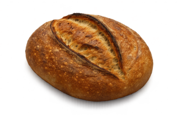 Artisan sourdough bread loaf, freshly baked with a transparent background.