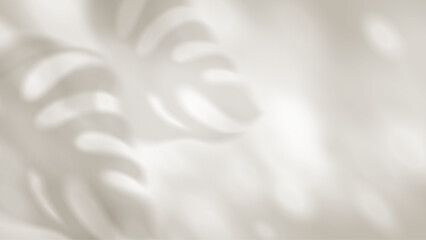 Naklejka premium Tropical palm shadow overlay on white background with realistic leaf silhouette and soft sunlight effect for summer design projects and natural mockups