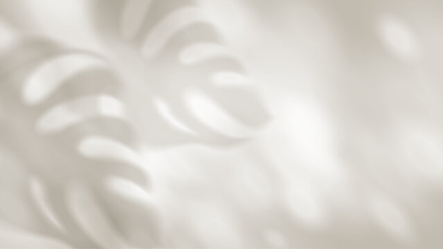 Tropical palm shadow overlay on white background with realistic leaf silhouette and soft sunlight effect for summer design projects and natural mockups