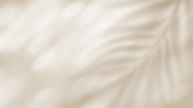 Blurred palm leaf shadow creates soft tropical atmosphere. Natural foliage silhouette overlay perfect for summer banners, spring templates, and abstract design mockups