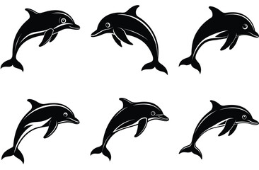 Obraz premium dolphin vector