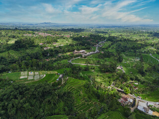 Aerial View Of Terraced Rice Fields Under Clear Blue Sky, Winding Contours Of Emerald Paddies Cascading Down