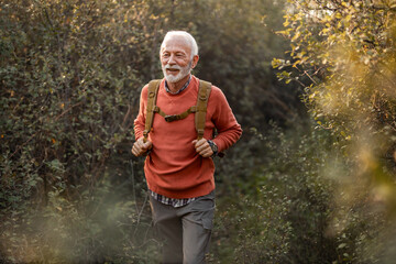 Senior Man Hiking Through Nature in Autumnal Forest Landscape