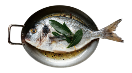 Sea bream in a cooking pan isolated on a white background