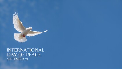 White dove flying in a blue sky. Symbol of peace and freedom for International Day of Peace background.