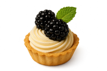 Delicious blackberry dessert tartlet with cream and mint on transparent background.