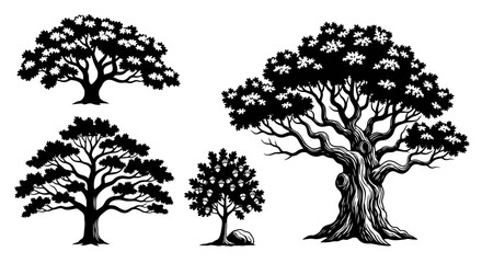 Set of stylized oak tree silhouettes and acorn tree illustration. © A B I G A I L