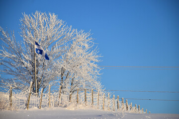 The flag in winter, Sainte-Apolline, Qu&eacute;bec, Canada