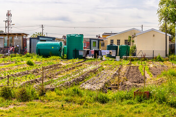 A view across allotments in Langa Township, Cape Town, South Africa in springtime