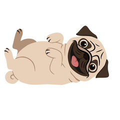 Cute cartoon pug dog lying on its back and laughing. Funny vector illustration isolated on white background.