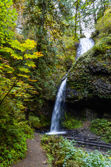 Obraz premium Spectacular Latourell Falls: Columnar Basalt Cliff in Columbia River Gorge